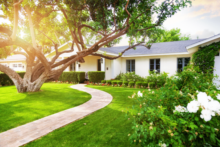 Curb Appeal