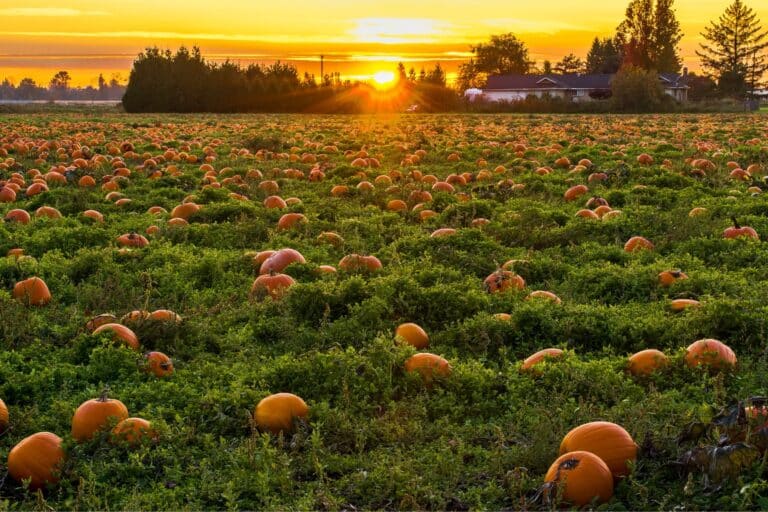Fall-Activities-in-Greater-Lafayette