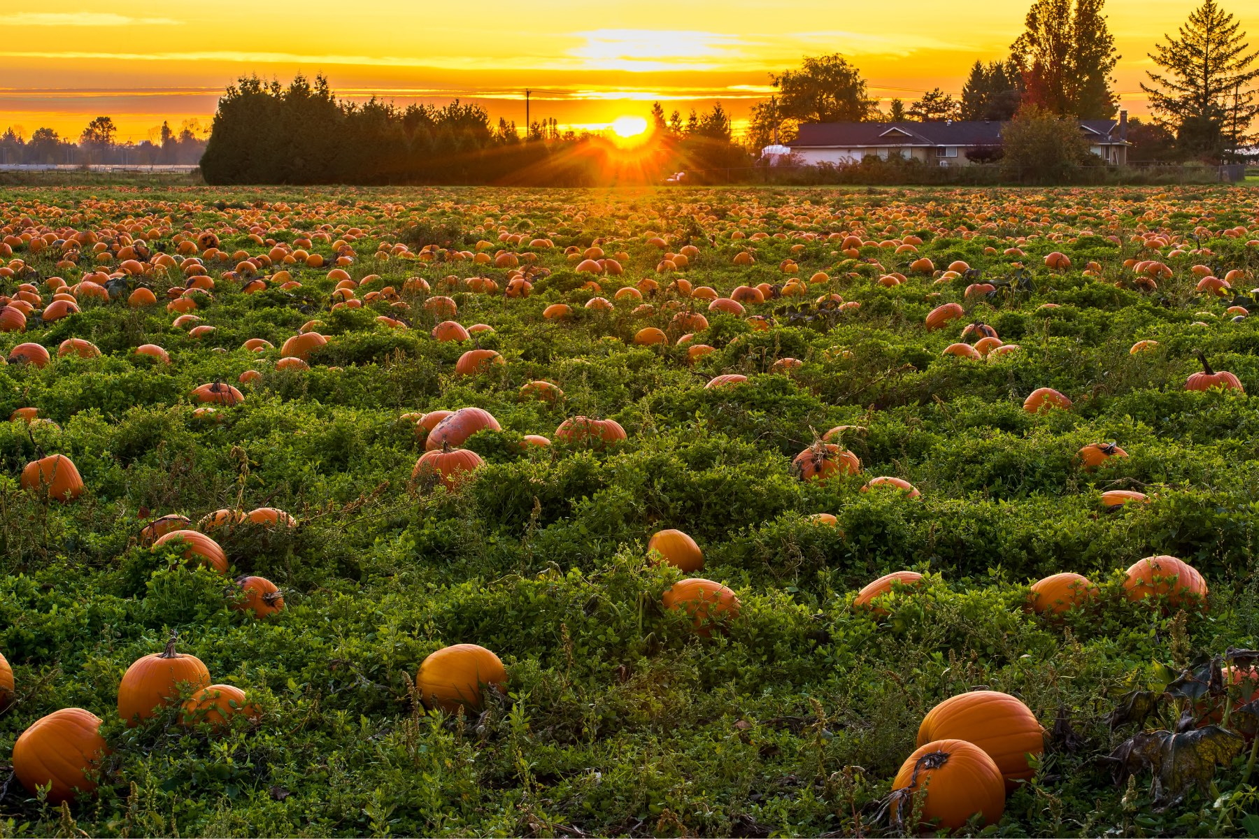 Fall-Activities-in-Greater-Lafayette