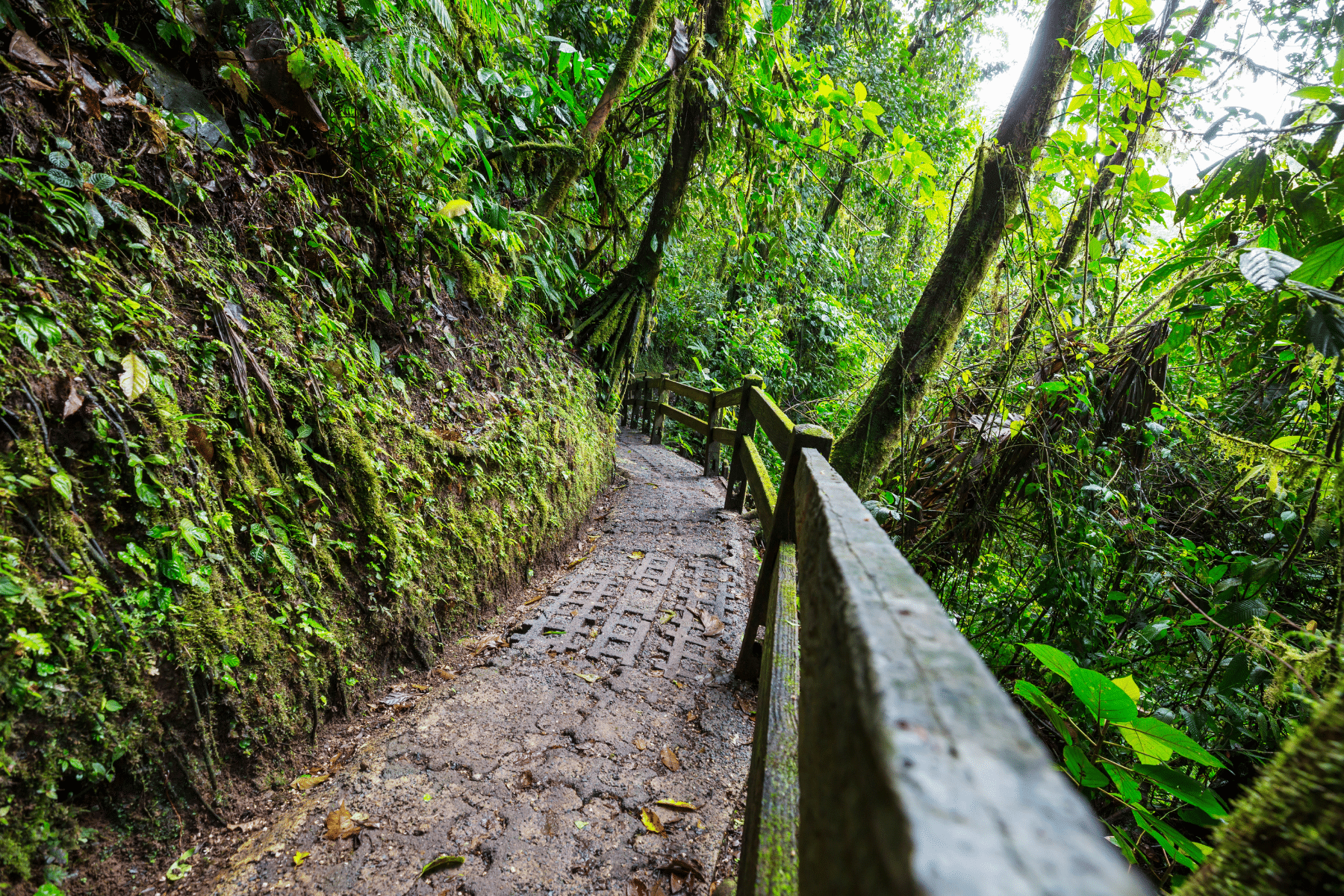 Costa Rica