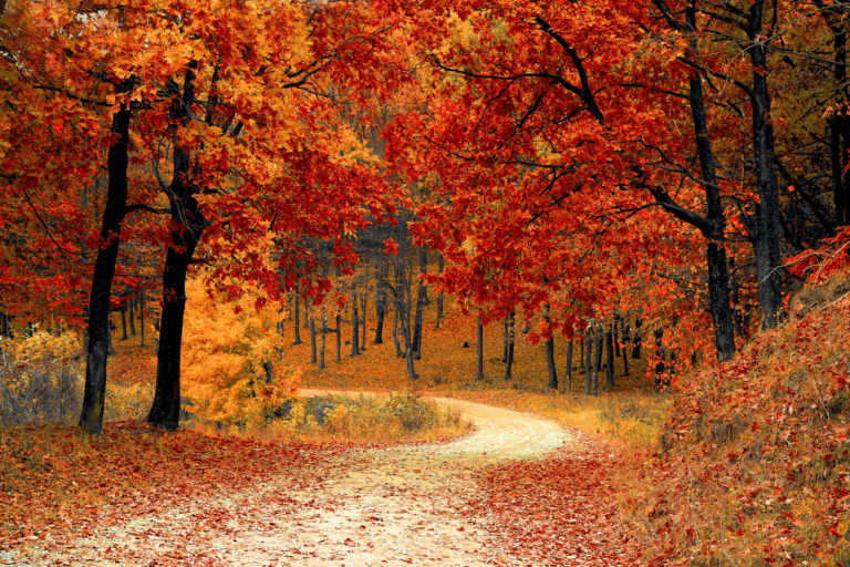Trails for Fall Hikes in the Greater Lafayette Area