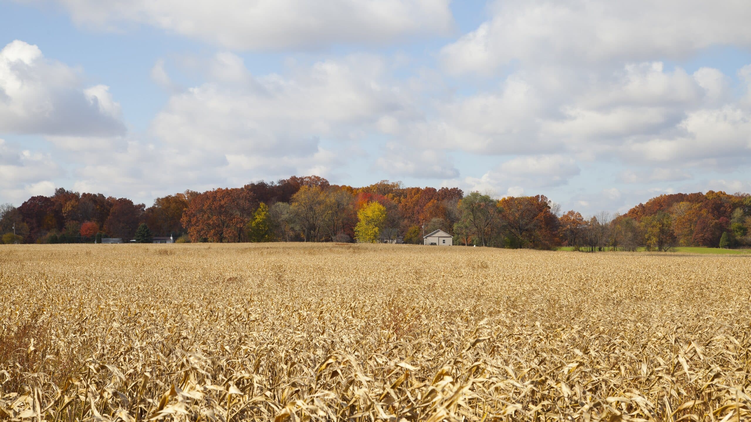 Indiana home for sale — Russell Team Real Estate